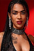 Potenza Trans Escort Mariah Massage 389 89 50 846 foto 22