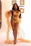 Milano Trans Al�cia Lins 324 78 27 663 foto 6