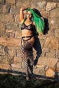 Bologna Trans Kika Doncato 393 73 17 905 foto 38