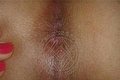 Grosseto Trans Escort Linda 351 17 48 930 foto hot 5