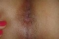 Grosseto Trans Linda 351 17 48 930 foto hot 6