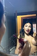 Genova - Cesenatico Trans Escort Miranda Belleza Esotica 353 20 44 743 foto 19