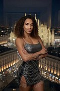 Milano Trans Violet 331 38 81 628 foto 4