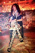 Padova Mistress Trans Lady Paolina 333 29 10 933 foto 7