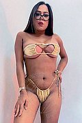 Latina Trans Escort Beatrizz 353 32 46 338 foto 16