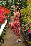 Faenza Escort Solfi 388 46 82 252 foto 6