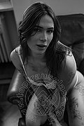 Milano Trans Nyx 329 53 71 331 foto 32