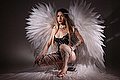 Modena Trans Bruna Chloer 351 42 08 269 foto 13