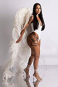 Trento Escort Vitoria Bittencourt 344 54 01 812 foto 8