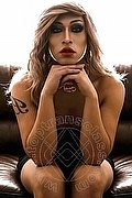 Latina - Padova Trans Lady B 340 83 17 576 foto 2