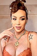 Milano Trans Kalena Rios Pornostar 377 38 72 350 foto 21